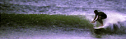 miklos Dora123.gif