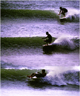 Surfing+scenes